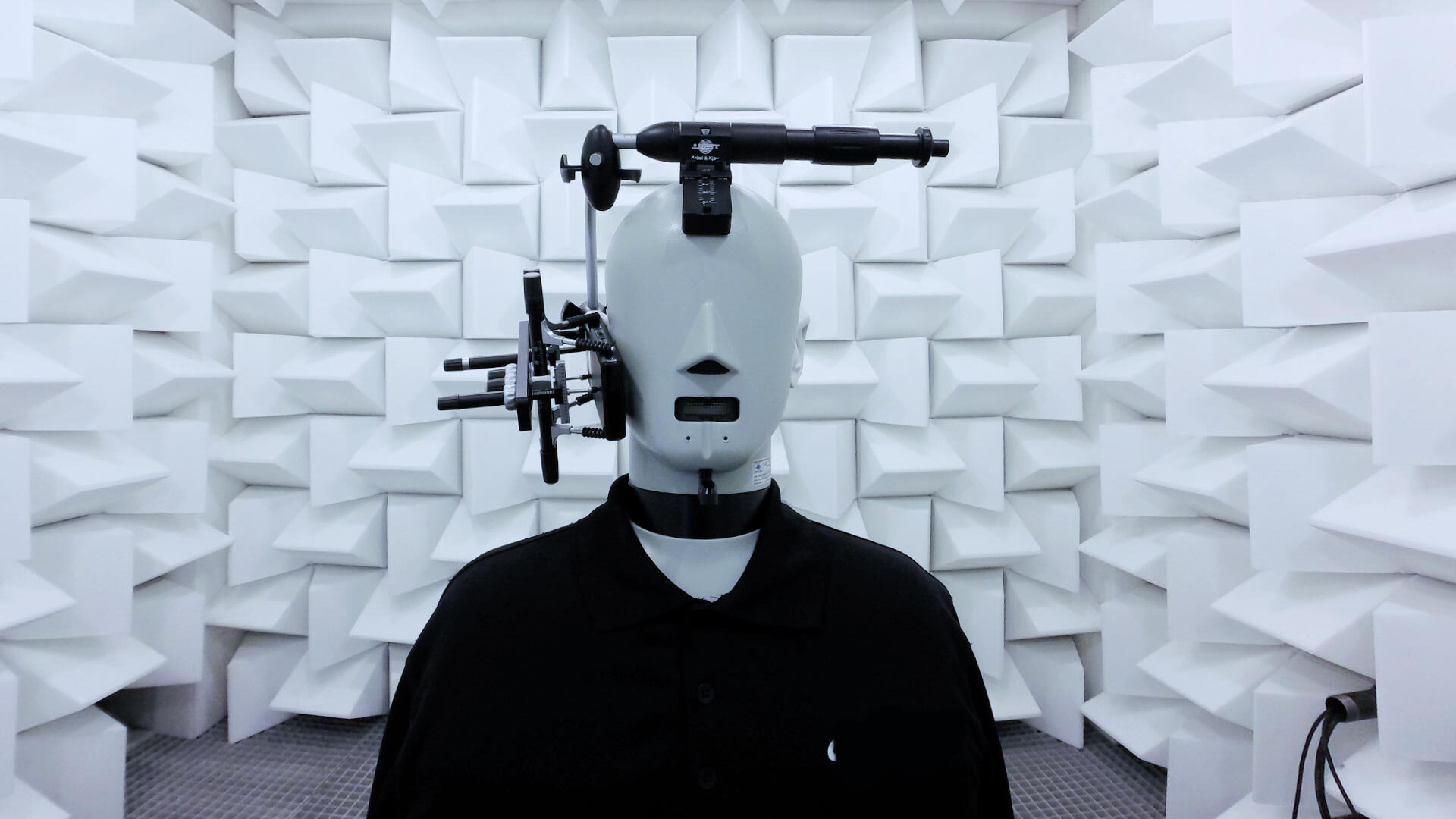 Head and torso simulator (short: HATS), which is used to conduct audio tests